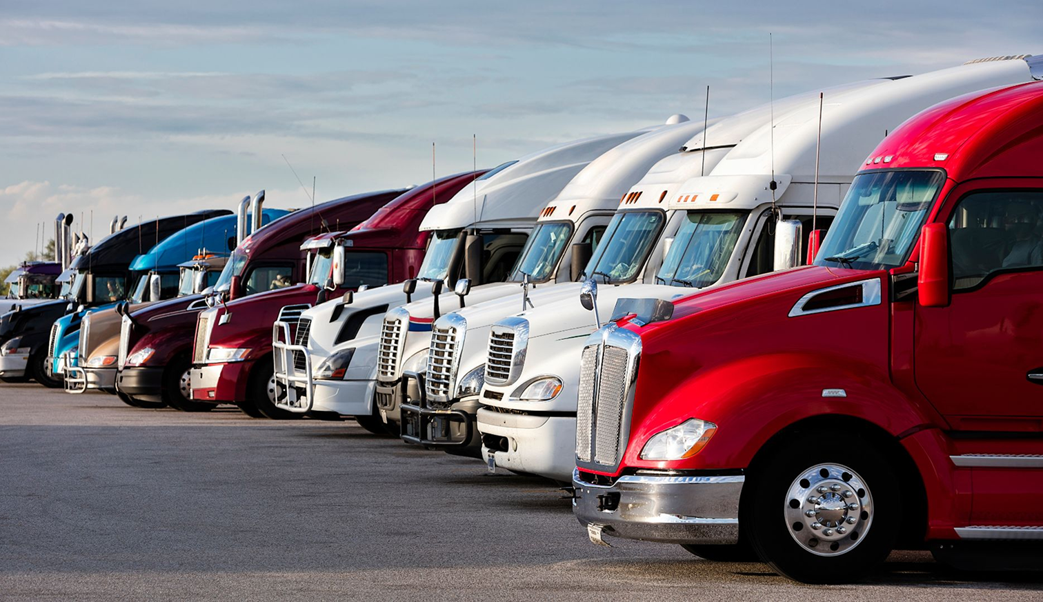Fleet of trucks lined up